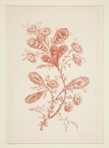 无题（理想之花），选自一套六幅作品