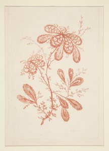 无题（理想之花），选自一套六幅作品