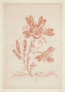 无题（理想之花），选自一套六幅作品