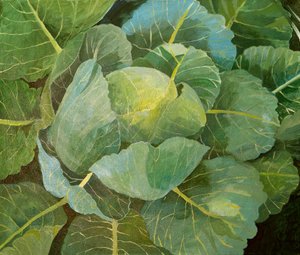 卷心菜（蓝色），2014（丙烯酸画布）