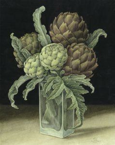 朝鲜蓟