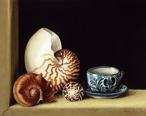 静物与鹦鹉螺，1998年（纸上wc）