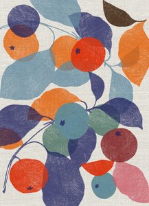 Printed Apples 作者 珍妮·弗兰（Jenny Frean）
