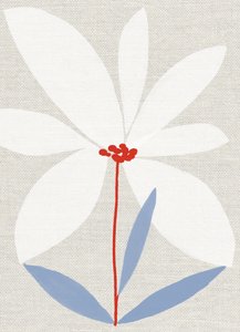 Printed Daisy 作者 珍妮·弗兰（Jenny Frean）