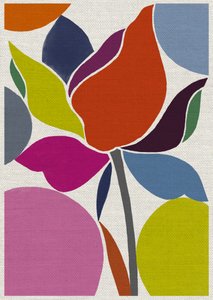 Printed Tulip 作者 珍妮·弗兰（Jenny Frean）