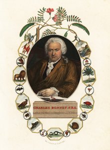 日内瓦博物学家查尔斯·博内特 (Charles Bonnet) 肖像，1803 年（雕刻） 作者 詹斯·尤尔