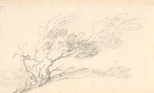 研究风中的木材 作者 詹斯·尤尔