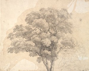 树冠研究 作者 詹斯·尤尔