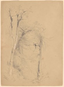 考特斯基尔丁香 作者 杰维斯·麦肯特（Jervis McEntee）