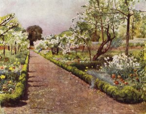 富勒姆，围墙花园中的花丛（彩色石版画）