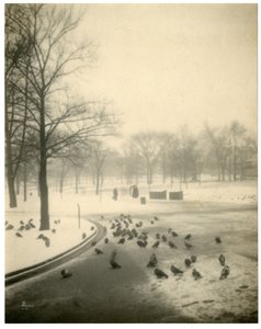 Boston Common，Boston，USA，c.1902-10 作者 杰西·塔伯·比尔斯（Jessie Tarbox Beals）