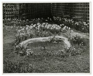 Wm H Wells先生和夫人的花园 265 W 11th St, New York, USA 作者 杰西·塔伯·比尔斯（Jessie Tarbox Beals）