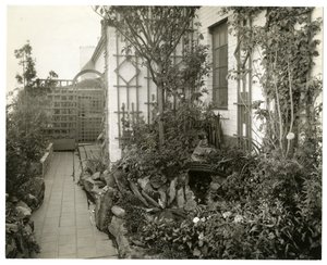 雷吉娜-贾斯夫人的花园，约1936-37年（明胶银照片 作者 杰西·塔伯·比尔斯（Jessie Tarbox Beals）