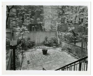有鸟屋的后天井，美国纽约，约1905-40（明胶银照片 作者 杰西·塔伯·比尔斯（Jessie Tarbox Beals）