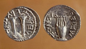 来自Bar Kochba Revolt，134-135（金属）的硬币