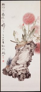 绣球花与岩石 作者 高建福