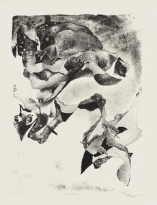 探访 作者 吉姆·蒙森