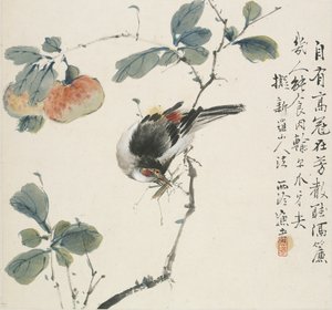 一个吃蚱蜢的中国华美人，1857年