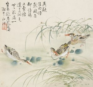 三只鸭子在水池中游泳，1857年