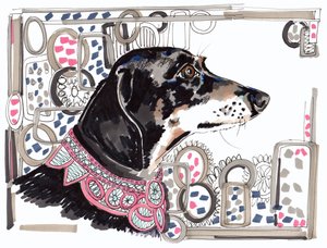 Lacey The Dachshund，2013，（笔，墨水在纸上）