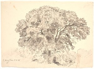 研究树木克莱森花园 作者 乔金·弗雷德里克·斯科夫加德
