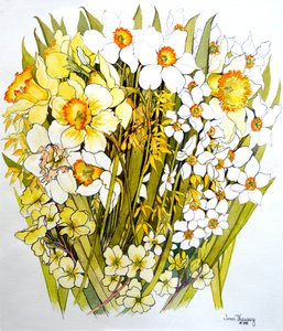 黄水仙，水仙，连翘和报春花，2000 作者 琼·瑟西