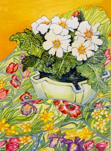 苍白的报春花在春天开花的纺织品罐，2000年