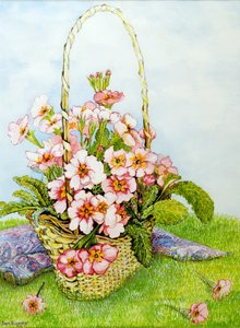 在花店篮子的桃红色报春花与佩兹利围巾，2010年，水彩 作者 琼·瑟西
