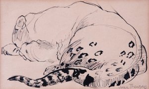 素描，豹纹，伦敦动物园2005，（钢笔和墨水） 作者 琼·瑟西