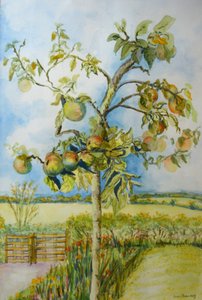 Apple Tree，2001 作者 琼·瑟西