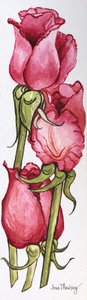 三朵红玫瑰 作者 琼·瑟西
