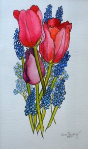 Tulips，Muscari和Forget-me-nots，2002， 作者 琼·瑟西