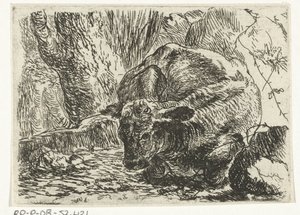 Koe
Dieren （系列名称）