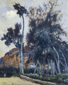 米拉维特 作者 Joaquim Mir i Trinxet