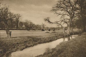 贝弗利·布鲁克（Beverley Brook）穿过列治文皇家狩猎公园的地点，摄于1935年。