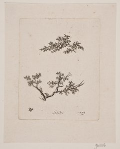 两根树枝 作者 约翰·布洛