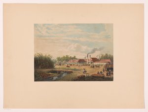 爪哇中部 Tegal 附近的 Pangka 工厂
Pangka 制糖厂；Tagal 住所
根据 A. Salm 绘画和素描绘制的爪哇（系列标题） 作者 弗兰斯·布法恩·佐南