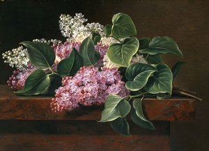 在壁架上的丁香花