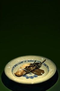 鸟盘，2015 年（摄影） 作者 约翰·利利亚（Johan Lilja）