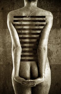 身体，2013 年（照片处理）