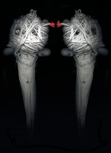 兄弟》，2013 年（摄影） 作者 约翰·利利亚（Johan Lilja）