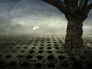 空洞，2014 年（摄影） 作者 约翰·利利亚（Johan Lilja）