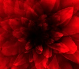 花红柳绿》，2016 年（数字艺术印刷品） 作者 约翰·利利亚（Johan Lilja）