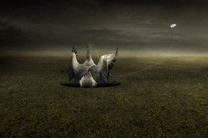 救援在路上，2013 年（摄影） 作者 约翰·利利亚（Johan Lilja）