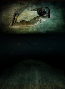 恐慌》，2012 年（摄影） 作者 约翰·利利亚（Johan Lilja）