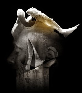 天鹅，2013 年（摄影） 作者 约翰·利利亚（Johan Lilja）