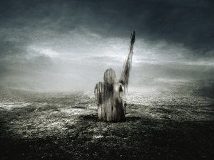红线，2013 年（摄影） 作者 约翰·利利亚（Johan Lilja）