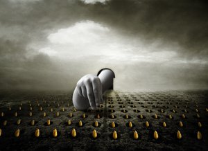 郁金香小偷，2013 年（摄影） 作者 约翰·利利亚（Johan Lilja）