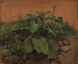 石墙上的牛蒡和其他植物 作者 约翰·托马斯·伦比