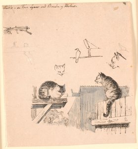 两只猫猫头、一只鸟、一只猫耳朵和横梁作品的 F.o. 研究。为 Kaalund 的 "儿童寓言 "绘制插图。参见纸张目录中的评论。 作者 约翰·托马斯·伦比